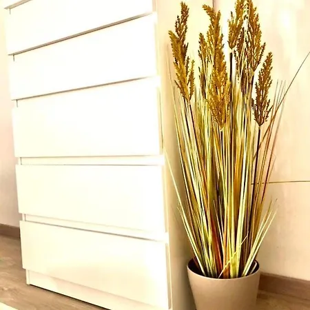 Rose Apartmann Apartament Budapeszt